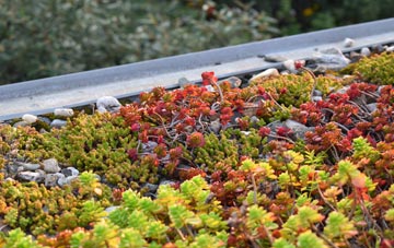 the cost of Marsh green roof installation