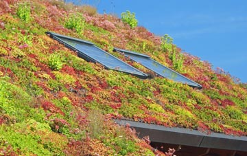 Marsh living roof systems
