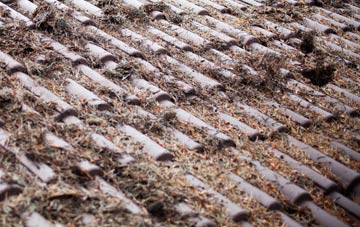 Marsh roof cleaning companies