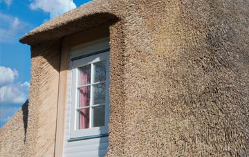 Marsh thatch roof disadvantages